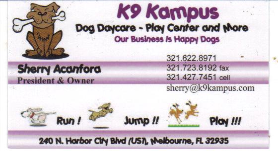 Dog Day Care and Playground
